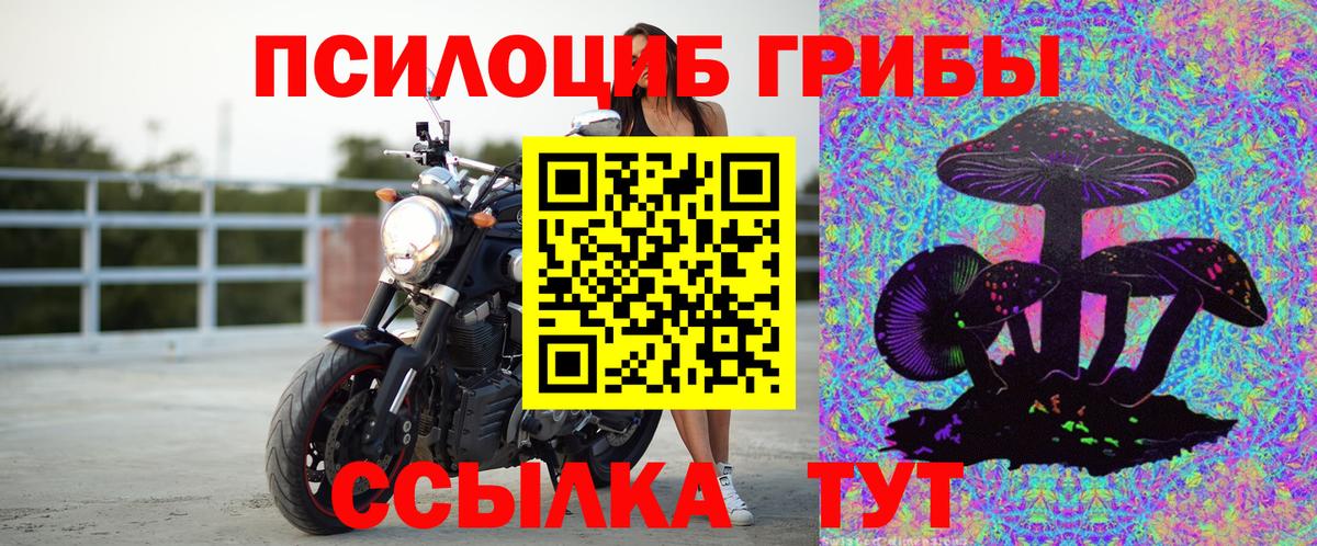 Галлюциногенные грибы GOLDEN TEACHER  Галлюциногенные грибы GOLDEN TEACHER  Котлас  Вход с VPN 
