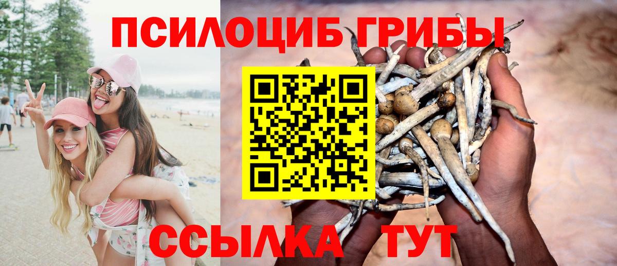 Псилоцибиновые грибы ЛСД Котлас